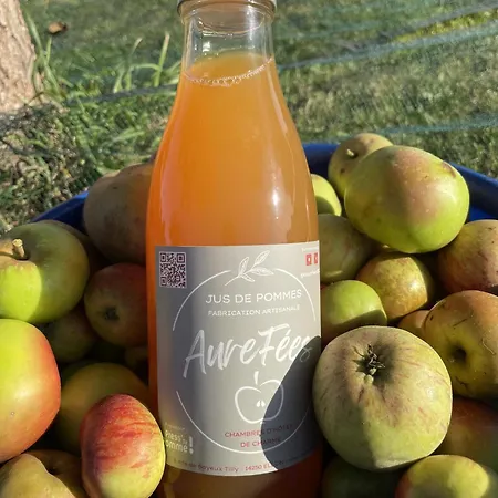 Bed and breakfast Aurefées Ellon