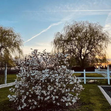 Aurefees Frühstückspension Ellon