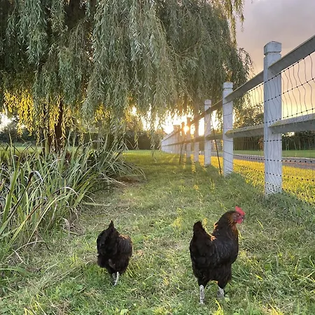 Frühstückspension Aurefees