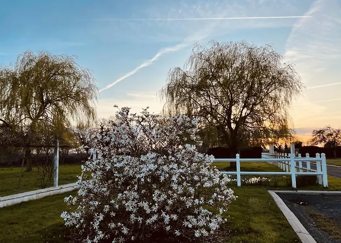 Aurefees Bed & Breakfast Ellon