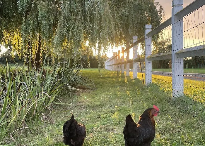 לינה וארוחת בוקר Aurefees