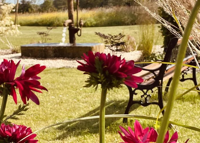 Aurefees לינה וארוחת בוקר